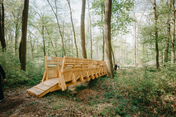 Celkové výdavky predstavujú viac ako 61-tisíc eur. | Foto: Trnavský kraj zážitkov  