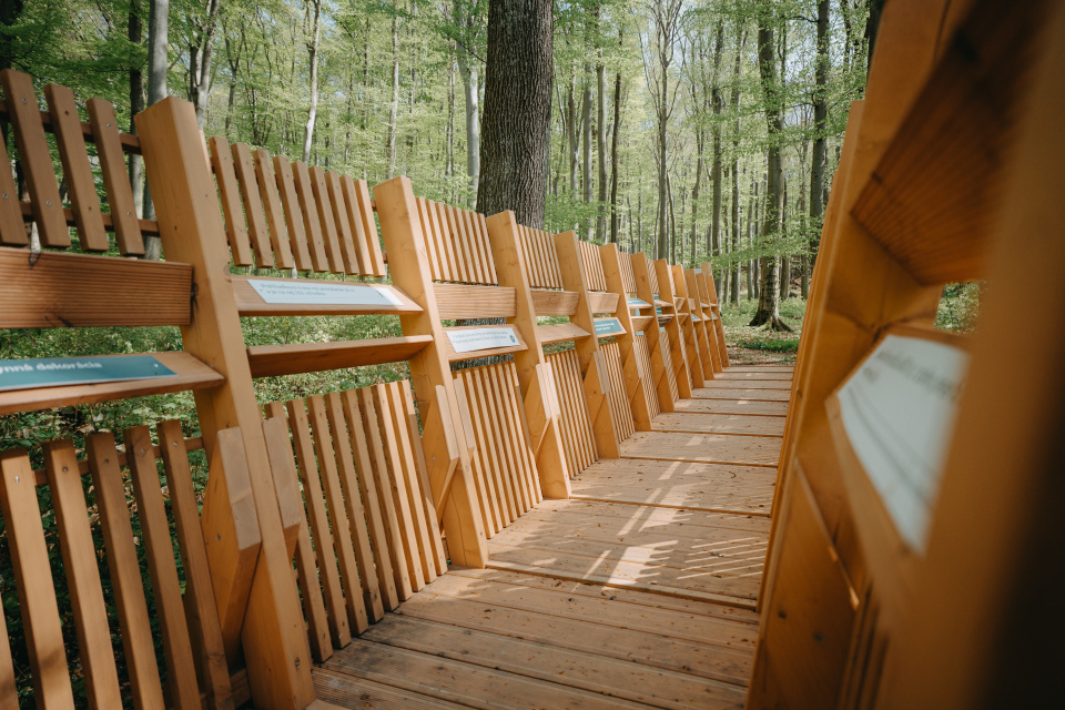 Novinky na chodníku už môžete otestovať na vlastnej koži | Zdroj: KOCR