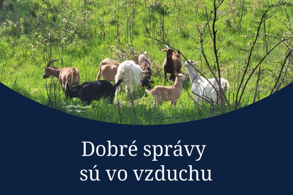 Tento týždeň prinášame aj bonusovú dobrú správu