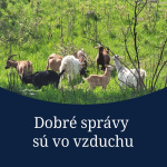 Tento týždeň prinášame aj bonusovú dobrú správu