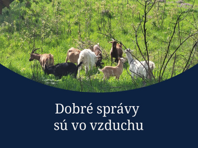 Tento týždeň prinášame aj bonusovú dobrú správu