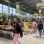 Na výber je z množstva druhov izbových rastlín a kvetináčov | Foto: Michaela Martišíková, redakcia