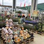 Ponukou nesklame ani záhradnícke centrum | Foto: Michaela Martišíková, redakcia