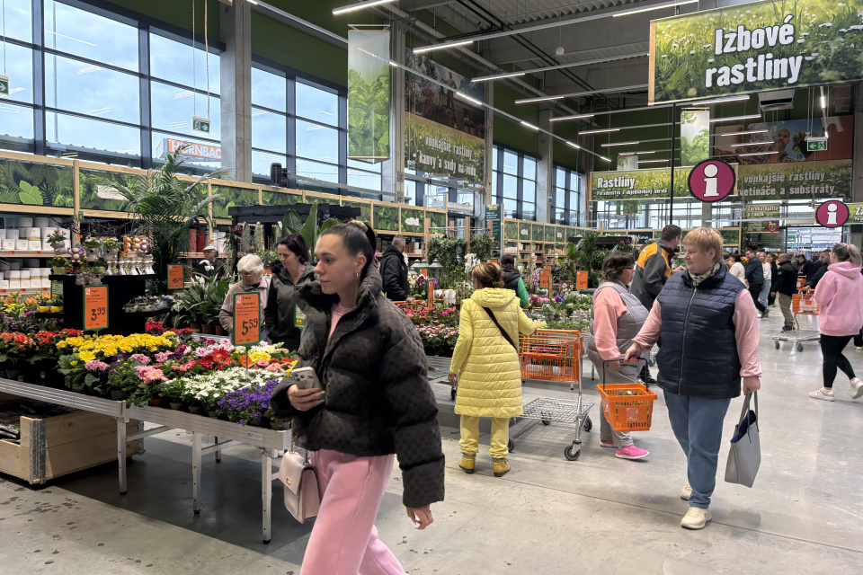 Na výber je z množstva druhov izbových rastlín a kvetináčov | Foto: Michaela Martišíková, redakcia