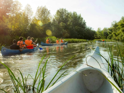 Pripravené budú štyri plavby | Zdroj: Trnavský kraj zážitkov