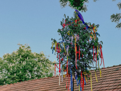 Tradičný symbol jari, lásky a nového života sa vracia do našich ulíc I Zdroj: Trnavské rádio