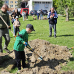 S novou výsadbou pomáhali viacerí | Zdroj: Mesto Galanta