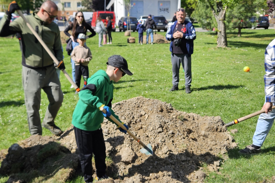 S novou výsadbou pomáhali viacerí | Zdroj: Mesto Galanta