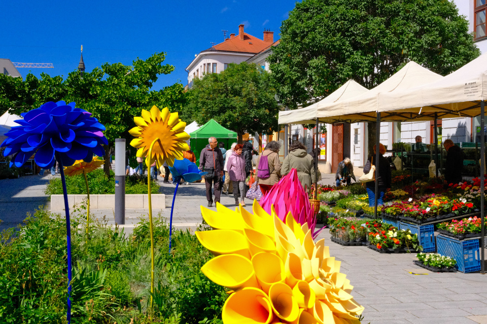 Trnava pozýva na Májový kvet a Trnavský rínek | Foto: redakcia