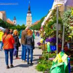 Centrum mesta láka na vôňu rozkvitnutých kvetov | Foto: redakcia