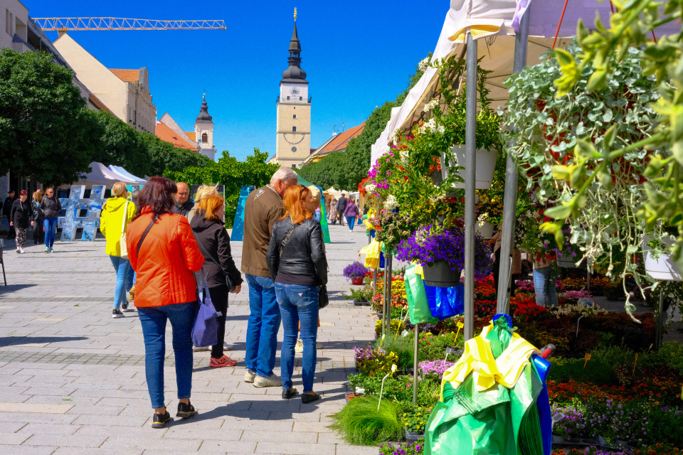 Centrum mesta láka na vôňu rozkvitnutých kvetov | Foto: redakcia