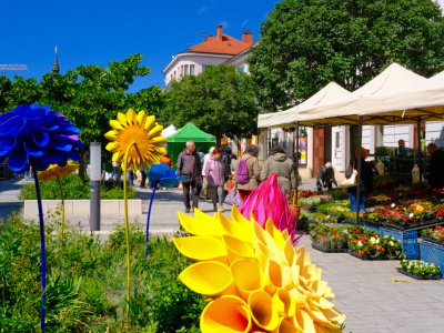 Trnava pozýva na Májový kvet a Trnavský rínek | Foto: redakcia