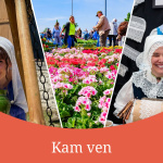 Aký bude váš program na víkend? | Zdroj foto: Hrad Tematín, Kvetinové dni v Kátove, Festival paličkovanej čipky