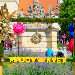 Piatok na Májovom kvete v centre Trnavy. | Foto: dv