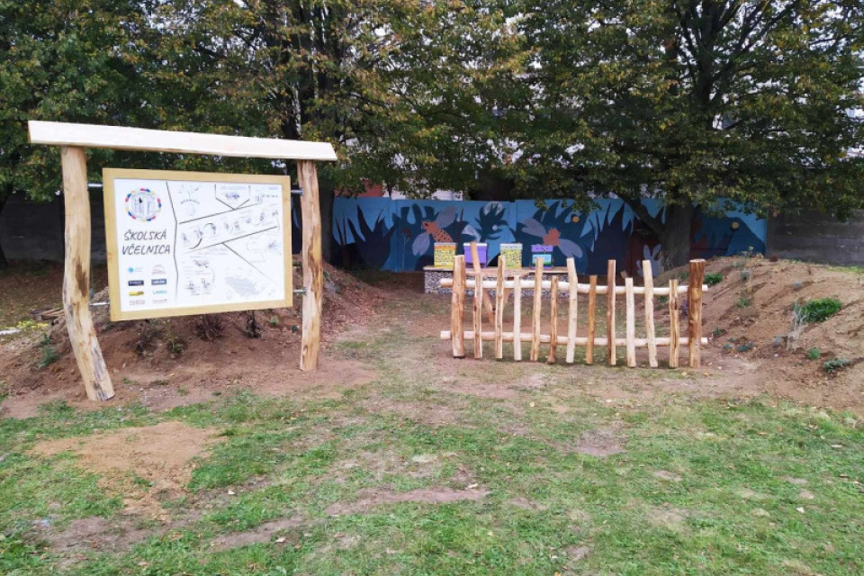 Z projektu kvetinová pastva pre včely | Zdroj: Mesto Senica