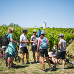 Cyklojazda povedie aj cez vinohrady | Foto: mtbiker
