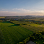 Vinohradnícka cyklotrasa vedie prevažne po poľných a účelových cestách | Foto: Región Trnava 