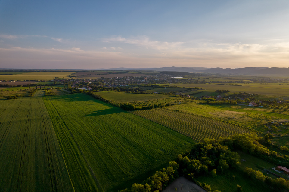 Vinohradnícka cyklotrasa vedie prevažne po poľných a účelových cestách | Foto: Región Trnava 