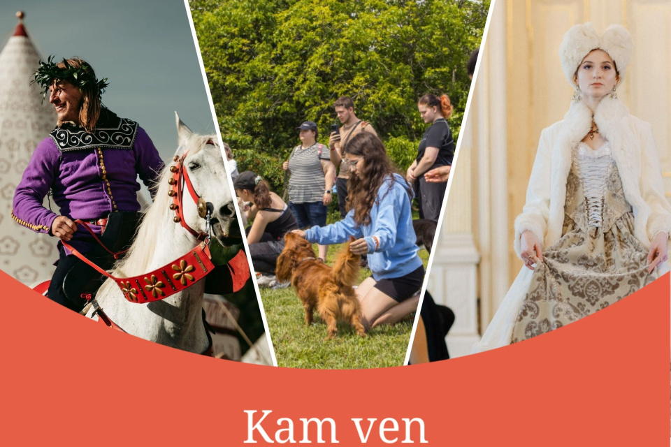 Aký bude váš program na víkend? | Zdroj foto: Rotenstein, Kynologický deň, Benefičná módna prehliadka Hlohovec 
