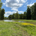 Park v areáli kaštieľa | Foto: Trnavské rádio