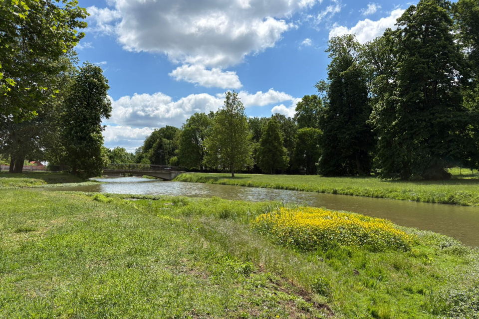 Park v areáli kaštieľa | Foto: Trnavské rádio