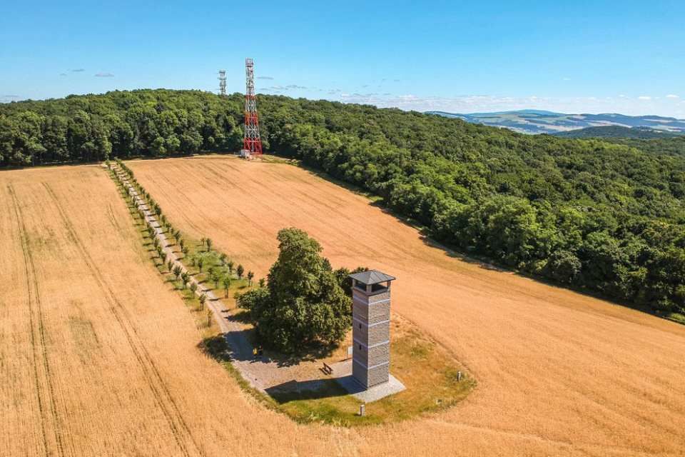 Takto vyzerá mladá lipová alej v Uníne. | Foto: Slovenské aleje
