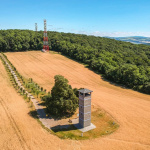 Takto vyzerá mladá lipová alej v Uníne. | Foto: Slovenské aleje