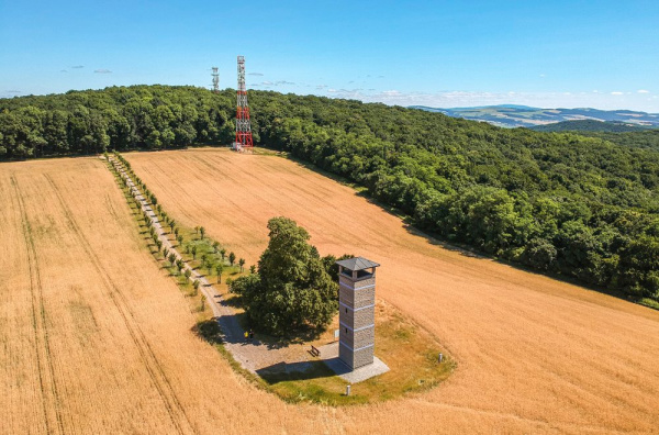 Takto vyzerá mladá lipová alej v Uníne. | Foto: Slovenské aleje