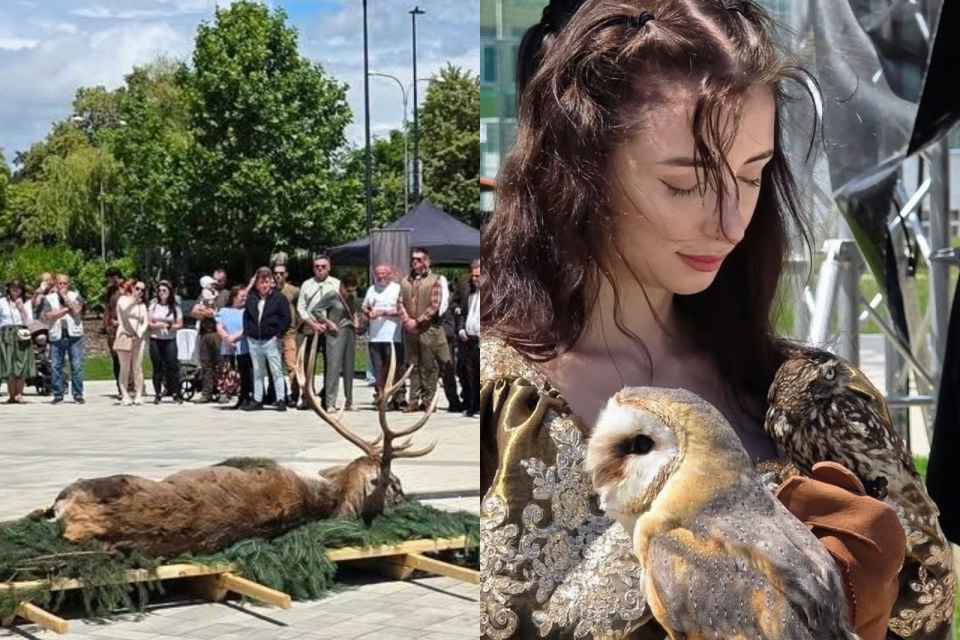 Historická tradícia s vystaveným jeleňom ochranárov nepotešila. | Foto: Dunaszerdahelyi