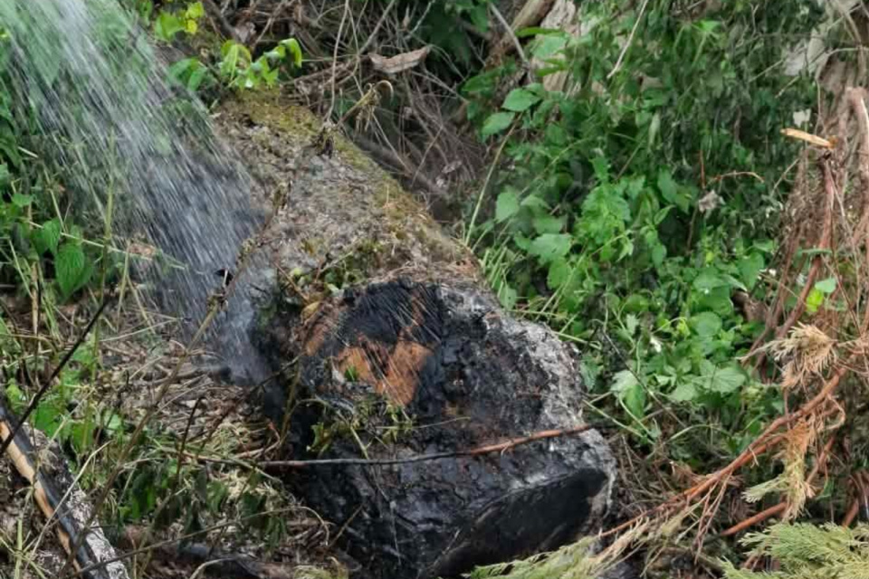 Prečo začalo horieť, zatiaľ zverejnené nebolo. | Foto: DHZ Leopoldov