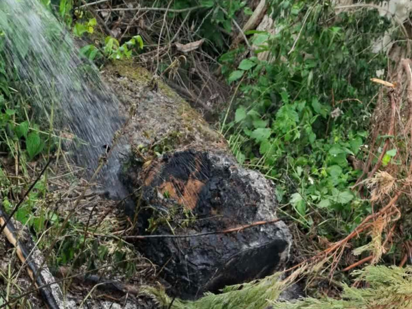 Prečo začalo horieť, zatiaľ zverejnené nebolo. | Foto: DHZ Leopoldov