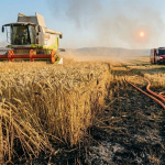 Informovalo o tom Okresné riaditeľstvo Hasičského a záchranného zboru v Trnave. | Foto: Špačince 