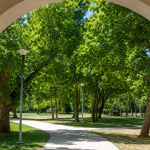 Zámocký park v Seredi | Zdroj: OZ Vodný hrad