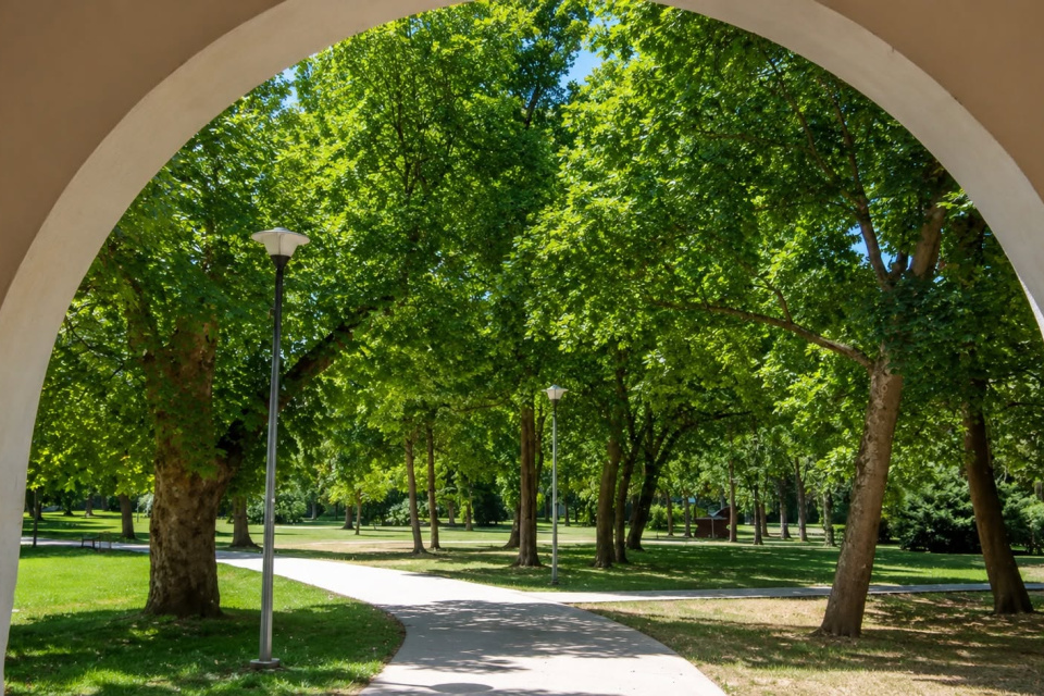 Zámocký park v Seredi | Zdroj: OZ Vodný hrad