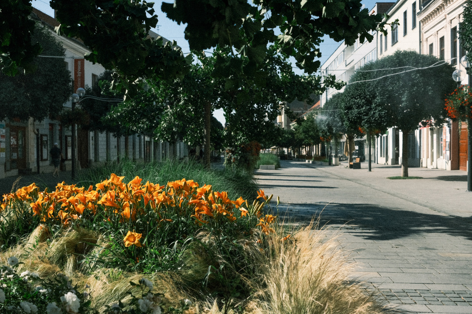 Trnava - centrum, ilustračná | Foto: Trnavské rádio