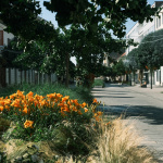 Trnava - centrum, ilustračná | Foto: Trnavské rádio