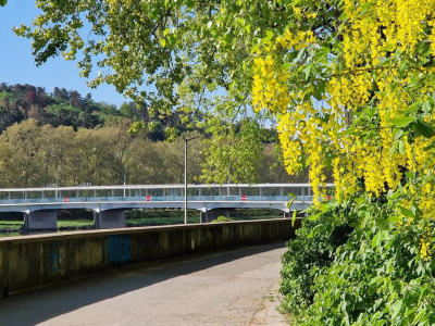 Uzavretý Kolonádový most v Piešťanoch | Zdroj: Mesto Piešťany