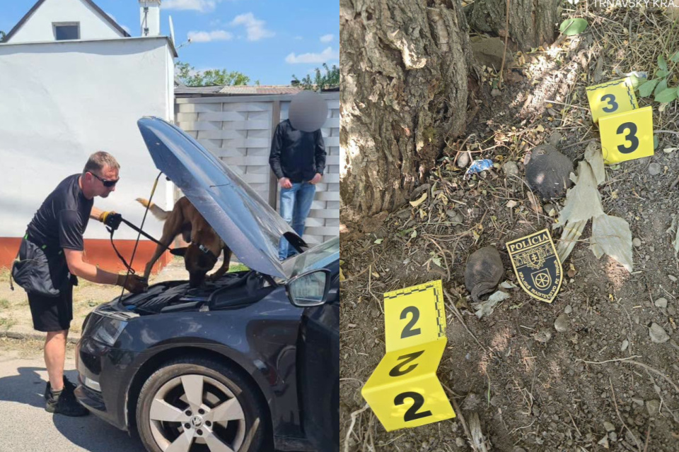 Policajná akcia bola na nespresnenom mieste Trnavského kraja. | Foto: PZSR