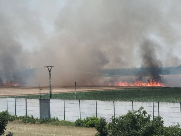 Prečo horelo, známe zatiaľ nie je. | Foto: Helena Maťková, To Najlepšie z Piešťan - Piešťany a okolie