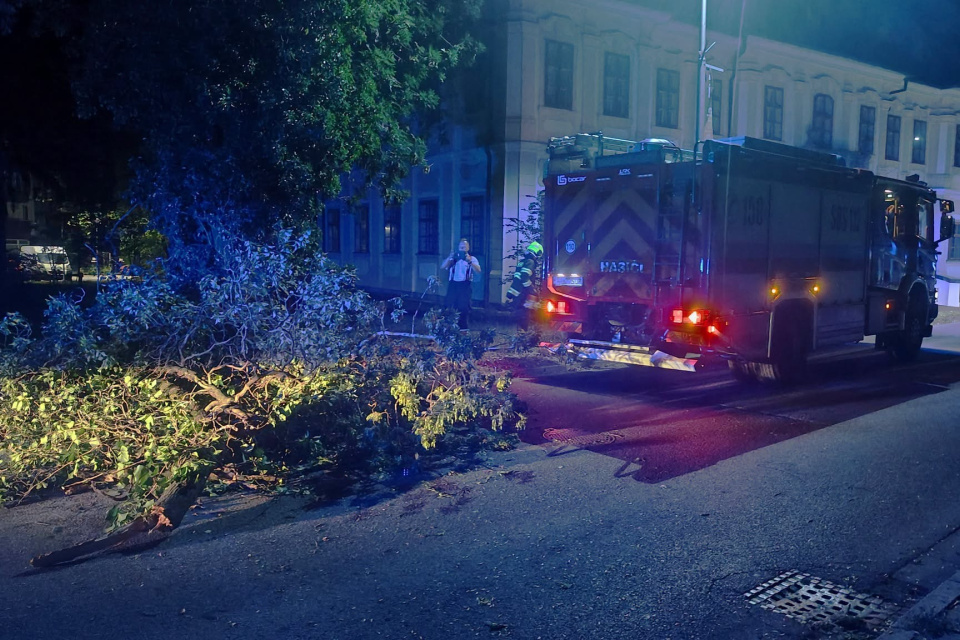 Nikto sa počas celej situácie nezranil. | Foto: Mestská polícia Senica