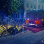 Nikto sa počas celej situácie nezranil. | Foto: Mestská polícia Senica