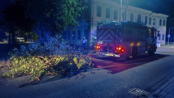 Nikto sa počas celej situácie nezranil. | Foto: Mestská polícia Senica
