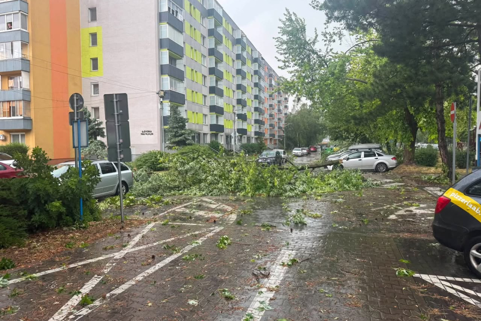 Popadané stromy v Seredi. | Zdroj: Luky Angelmajer