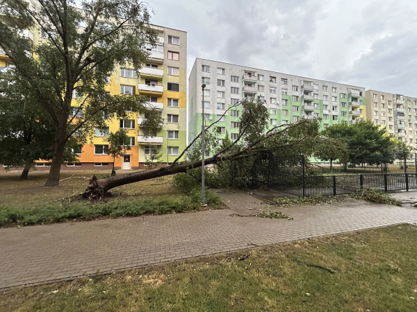 Popadané stromy v Seredi. | Zdroj: Luky Angelmajer