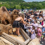 Štúdio Trnavského presťahujeme do Lubiny | Zdroj: FarmaPARK Lubina