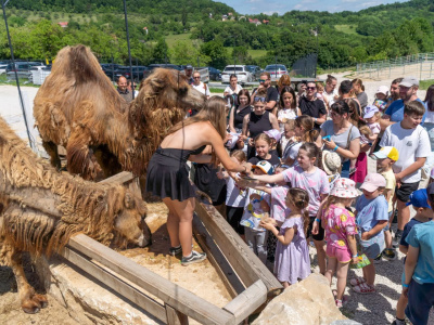 Štúdio Trnavského presťahujeme do Lubiny | Zdroj: FarmaPARK Lubina