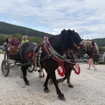 Môžete sa nechať odviesť aj na koči | Foto: MM, redakcia