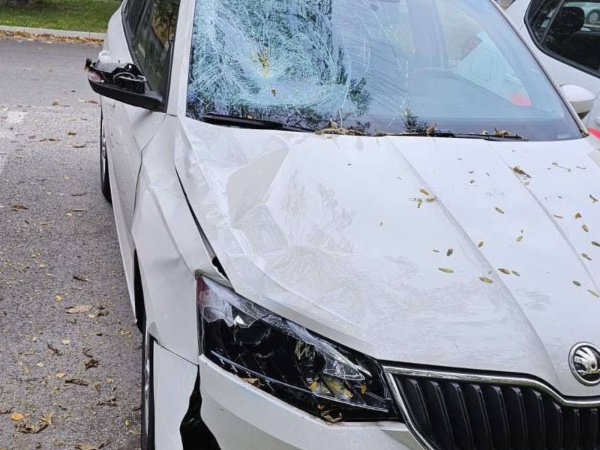 Tragická nehoda sa stala v októbri minulého roka. | Foto: PZSR