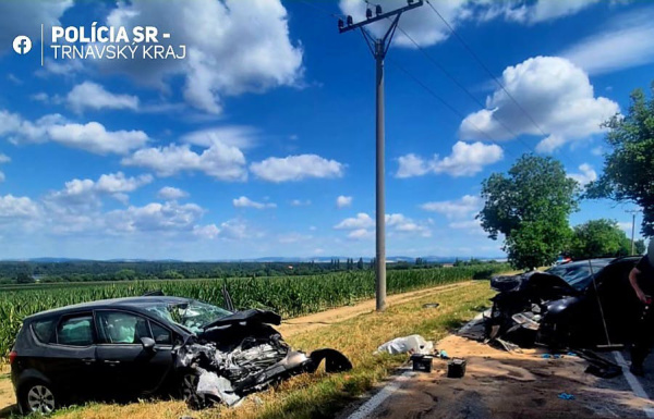 Policajti vyšetrujú nehodu, alkohol u vodičov nezistili. | Foto: PZSR