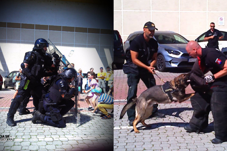 Policajti čelili dohodnutému detskému útoku i psovi. | Foto: PZSR